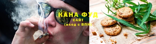 молекула духа Алзамай
