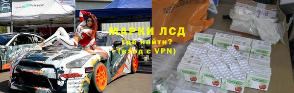 ГАЛЛЮЦИНОГЕННЫЕ ГРИБЫ Аркадак