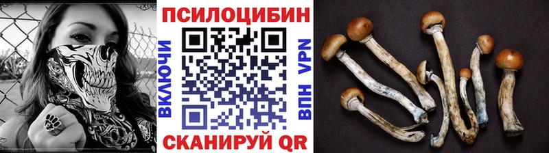 Галлюциногенные грибы Magic Shrooms Лесной
