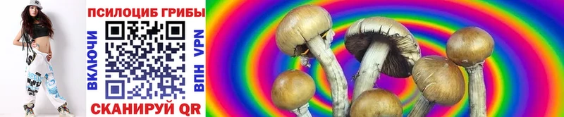 Псилоцибиновые грибы ЛСД  это формула  Лесной  blacksprut сайт 